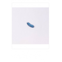 Lentille bleue pour voyant chauffe eau Thermor Atlantic Sauter 023310